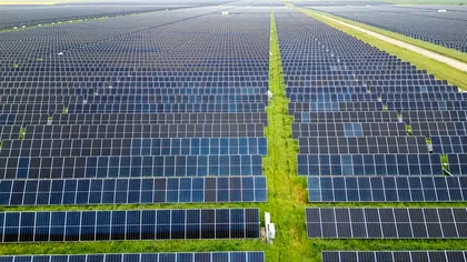 PPC lansează prima ofertă cu preț dinamic din România - plătești cu până la 59% mai puțin dacă ai contor inteligent