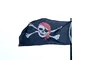 Reapare moda pirateriei digitale. Spiritul „The Pirate Bay” nu a murit