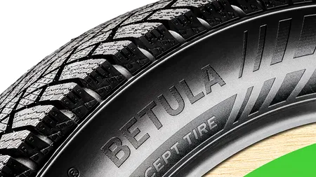 Anvelope din scoarță de mesteacăn, fabricate la Oradea: proiectul care ar putea schimba industria auto