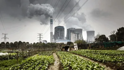 Vremea extremă a generat pierderi record în economia globală