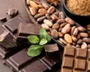 Reinventarea ciocolatei. Nestle a pus la punct o nouă tehnică de prelucrare a fructului de cacao, care schimbă regulile jocului