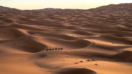 Arabia Saudită devine o piață crucială pentru energie verde și tehnologie solară