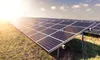 România își extinde producția verde: Alerion finalizează și licențiază două parcuri fotovoltaice