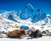 O teorie veche de 100 de ani despre cum stau munții Himalaya în picioare a fost spulberată de o nouă descoperire