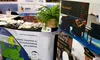 Cum au recuperat consumatorii români sute de mii de euro din tranzacții internaționale eșuate