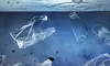 Țările care sufocă oceanele cu plastic. Cine poluează cel mai mult și cum ajunge gunoiul pe plajele lumii