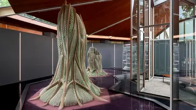Cercetătorii au inventat materialul „viu” care absoarbe CO2 și îl transformă în schelet mineral solid
