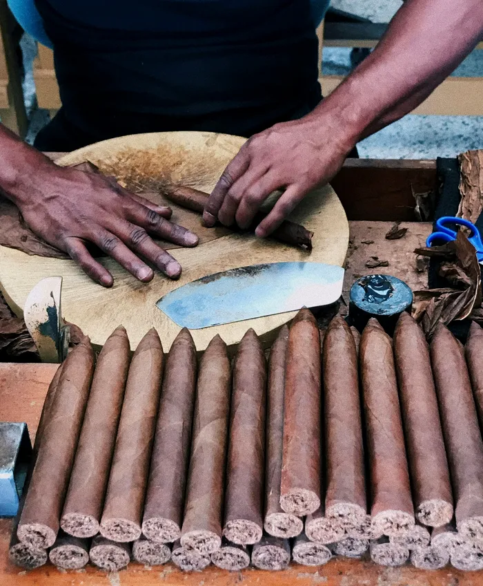 7,5% dintre trabucurile cubaneze pentru export sunt produse de deținuți