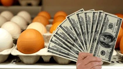 Prețul ouălor a atins un nivel record. Pe ce loc se află, de fapt, SUA în topul scumpirilor, după deciziile lui Trump
