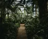 Club Tropicana: cum să construim case pentru un viitor mai cald
