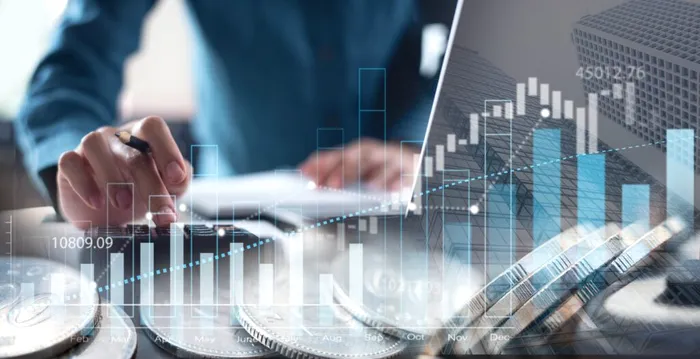 Finance,,Banking,And,Investment,,Asset,Allocation,,Budget,Management.,Business,Woman