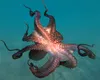 Invazia caracatițelor marocane pune în pericol industria fructelor de mare din Marea Britanie
