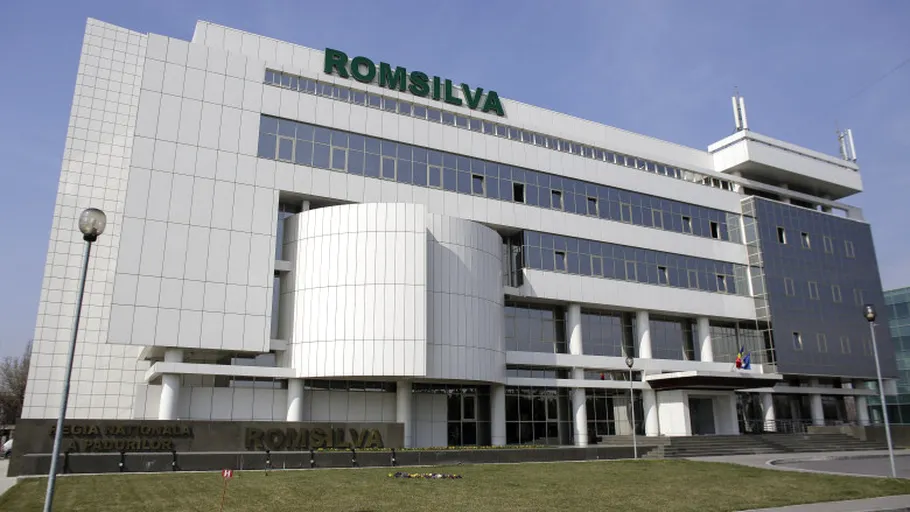 Scandal uriaș la Romsilva: 3 milioane de hectare „dispărute” și sute de milioane cheltuite ilegal