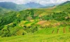Kârgâzstan. Case ieftine și sustenabile din deșeuri de orez