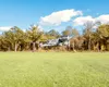 Greu de ucis: China dezvoltă drone inteligente, care evită rachetele