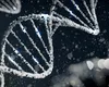 Informațiile genetice – o nouă resursă comună. Se pregătește „Genomoteca Vieții”