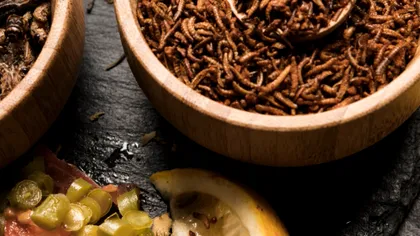 Insecte ascunse în mâncare, teoria care a pus pe jar internetul. Producătorii de chipsuri, paste și Nutella explică