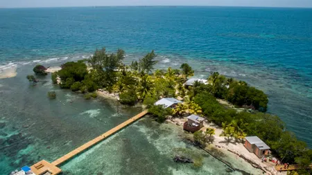 Francis Ford Coppola a pierdut insula din Belize după eșecul filmului „Megalopolis”, care l-a lăsat fără bani