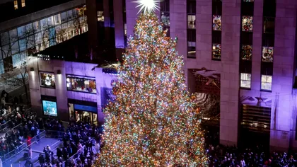 Cei mai spectaculoși brazi de Crăciun care au cucerit planeta și pe care trebuie să-i vezi măcar o dată în viață