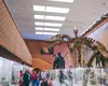 O fosilă rară de Ceratosaurus, adjudecată pentru mai bine de 30 de milioane de dolari