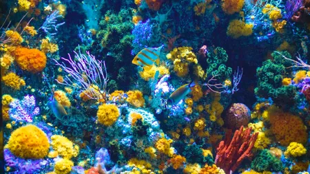 Vanguard: primul habitat submarin construit în ultimele patru decenii