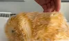 Animalele AI. Casio a prezentat Moflin, un hamster de pluș robotizat