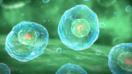 Inteligența artificială scoate la lumină cele mai vechi dovezi ale vieții pe Pământ. Planeta avea organisme acum 3,3 miliarde de ani