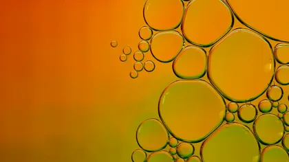 Proteine vechi de 29 de milioane de ani generează o nouă piață pentru biotehnologie și medicină evolutivă