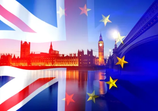Doi frați, două voturi opuse și aceeași concluzie după un deceniu de Brexit