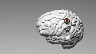 Suntem în așteptarea unei generații noi, a nativilor „neuro-digitalizați”?