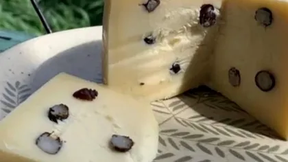 Brânza cu furnici, delicatesa braziliană care a cucerit lumea gastronomiei