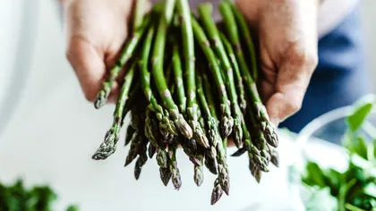 Sindicatele germane cer salarii decente pentru românii sezonieri. „Culeg hrana Germaniei, dar abia supraviețuiesc”