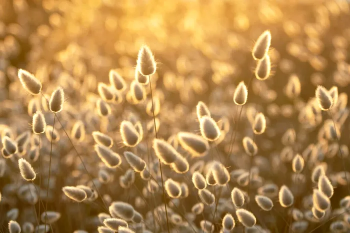 Foto: Unsplash