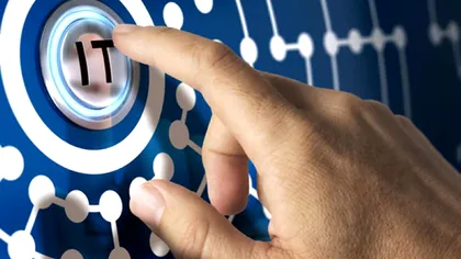 Arctic Stream: Profit de 8 milioane lei, în primele nouă luni din 2024