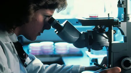 Umanitatea câștigă războiul împotriva cancerului