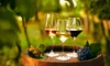 Franța anticipează o recoltă bogată: producția anuală de vin ar putea varia între 40 și 42,5 milioane hectolitri