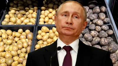 Rusia a rămas fără cartofi, alimentul de bază al populației. Vladimir Putin a recunoscut oficial că rezervele sunt aproape epuizate