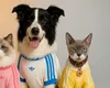 Adidas lansează colecția de haine pentru animale, redefinind moda pentru prietenii necuvântători