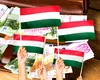 Miliarde de euro pompate de Guvernul lui Viktor Orban în Transilvania. Cum funcționează subvențiile din Ungaria