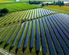 Turcii investesc 100 mil. € în cel mai mare parc solar din Ardeal