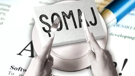 Rata şomajului a ajuns în România la 5,3 la sută
