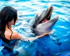 Cum ne vorbesc animalele? Inteligența artificială promite să spargă codul limbajului și să facă o realitate din comunicarea cu natura