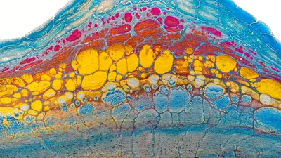 Bioboții: celulele care schimbă granițele dintre viață și moarte